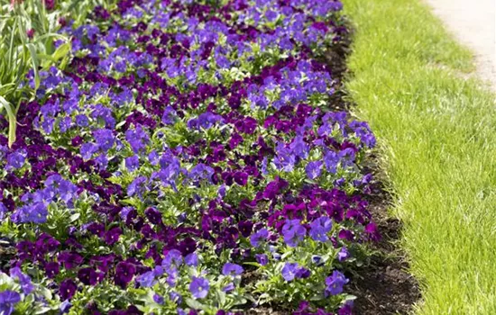 Klimazonen im Garten schaffen Klimazonen im Garten schaffen