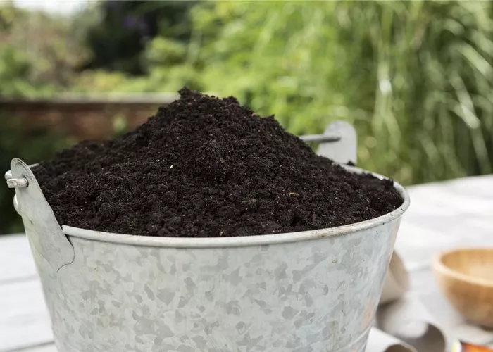 Erde und Substrate legen den Grundstein fürs Wachstum 