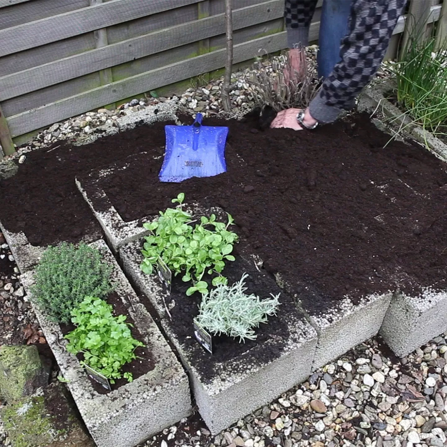 Kräuter - Einsetzen in Pflanzsteine Kräuter - Einsetzen in Pflanzsteine