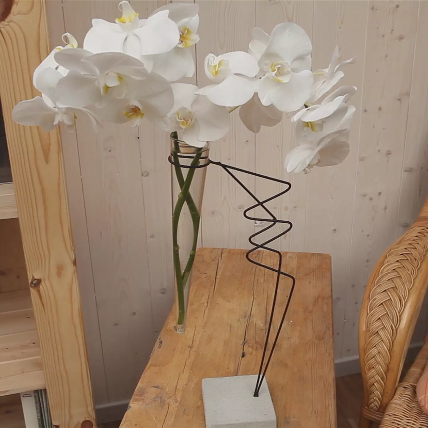 Orchidee - Anschneiden für den Heimgebrauch