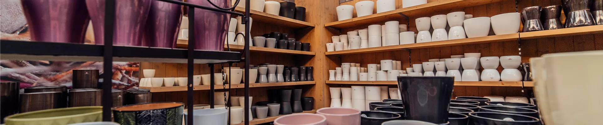 Arkenau Fotos - Homepage - 015