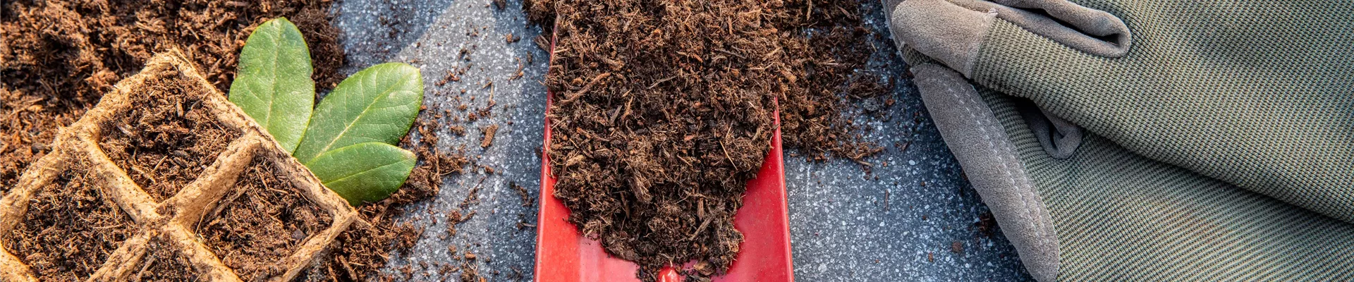 Erde auf Pflanzkelle Erde auf Pflanzkelle