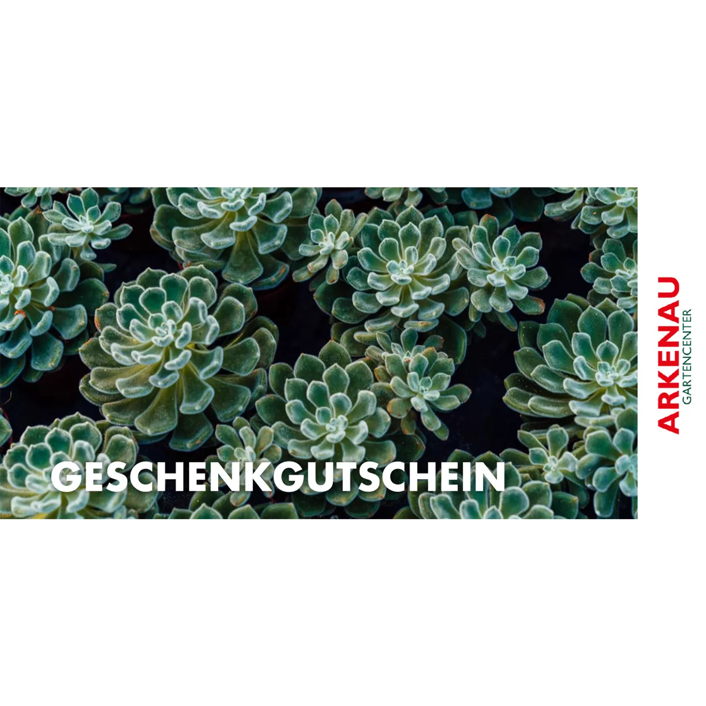 Individueller Gutschein