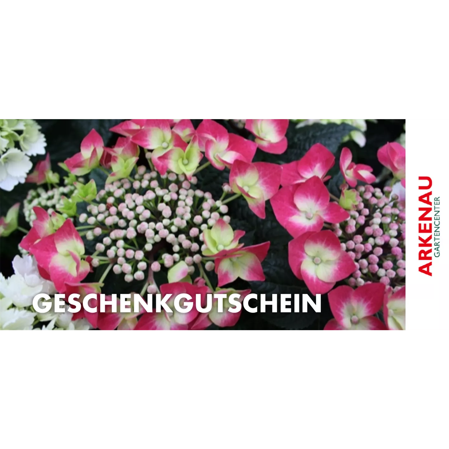 Individueller Gutschein