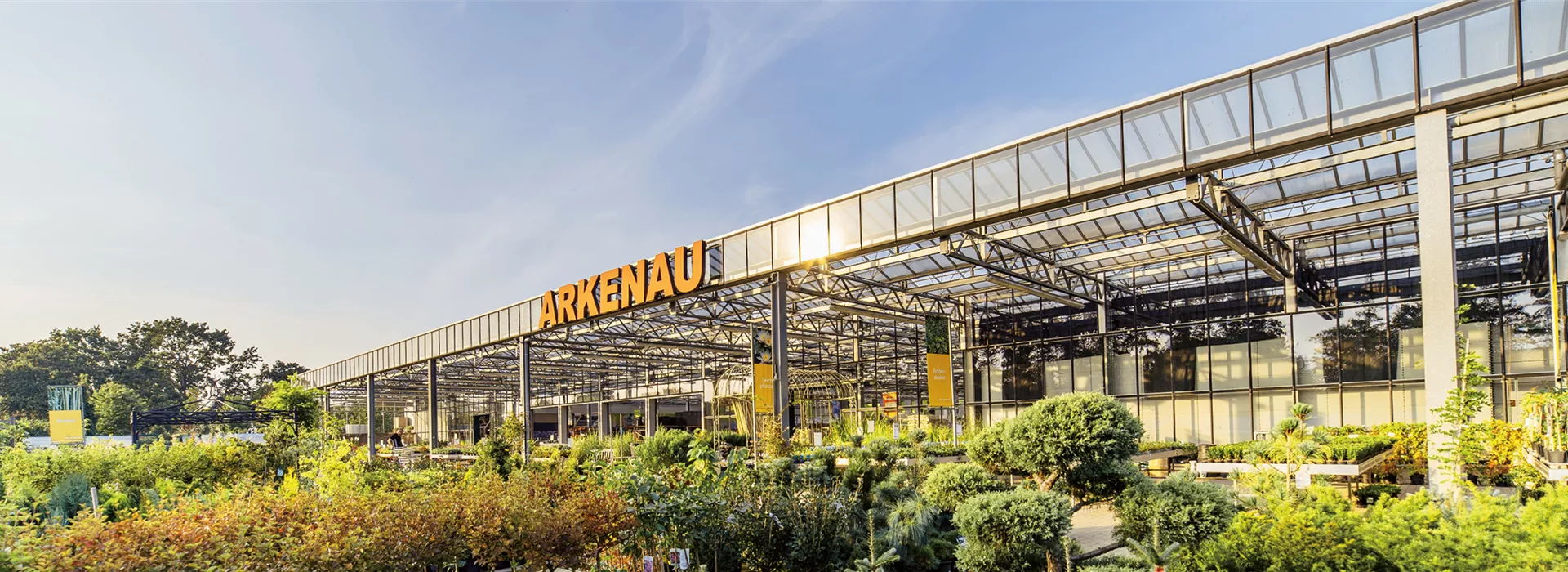 titel-baumschule titel-baumschule