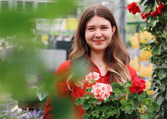 Beet und Balkon Beet und Balkon