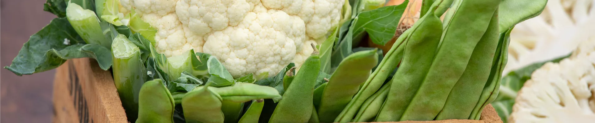 Blumenkohl