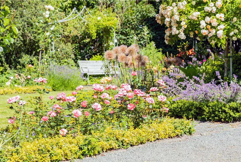 Rosengarten