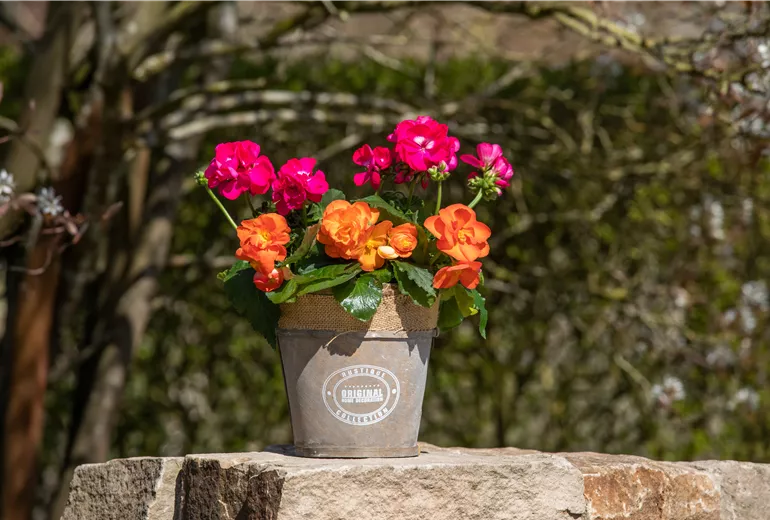 Bepflanzter Übertopf im Gartenambiente