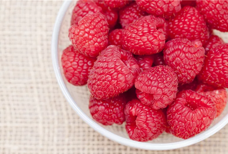 Rubus idaeus