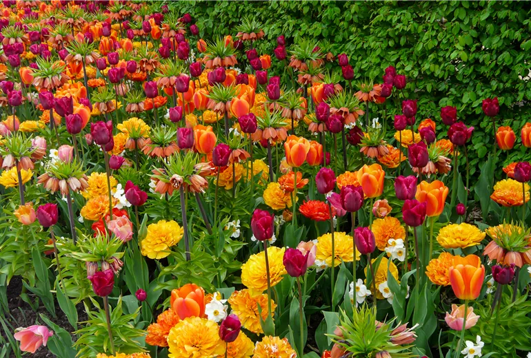 Blumenbeet