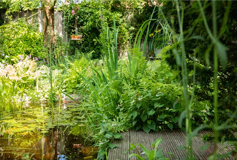 Gartenteich