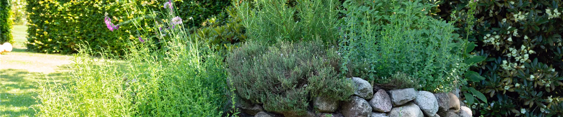 Kräuterspirale