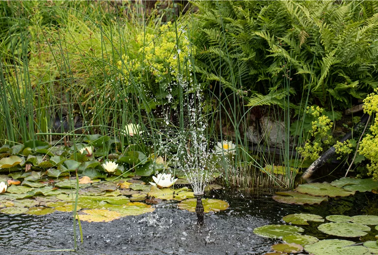 Wasserfontäne