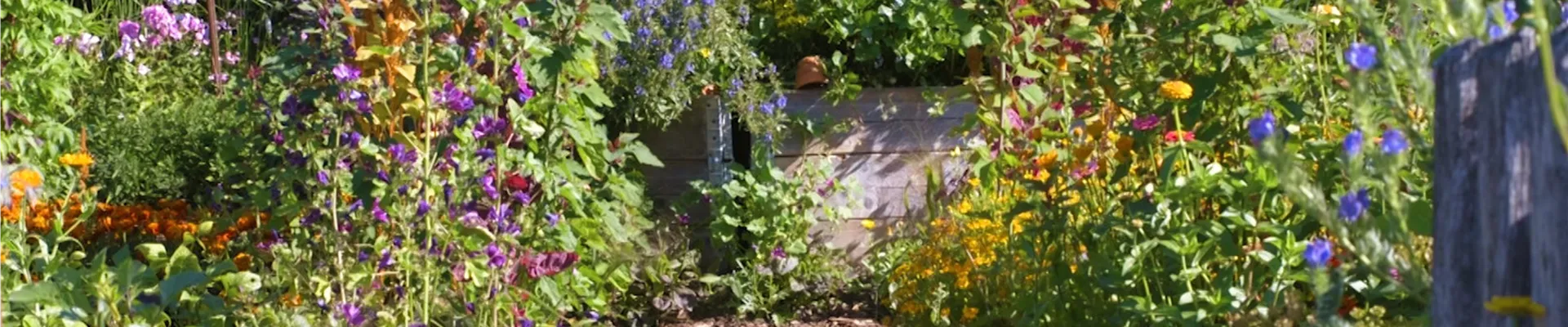 Gartengestaltung - Bauerngarten (Thumbnail)