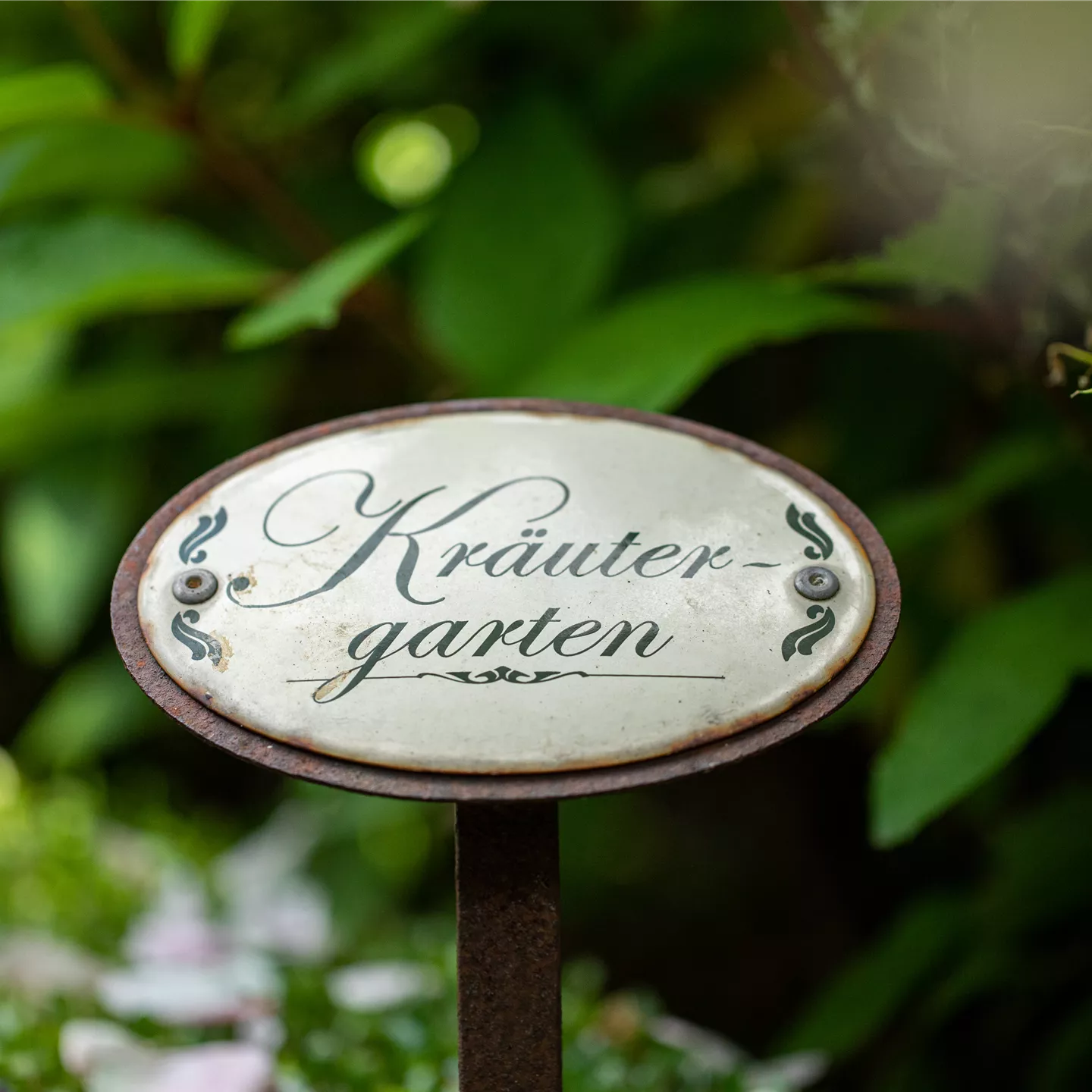 Ernte ohne Garten - Im duftenden Kräutergarten auf dem Balkon