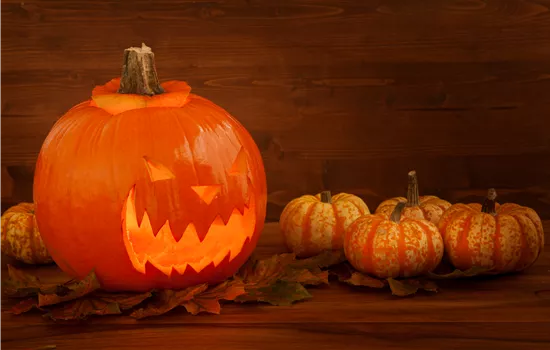 Der Garten zu Halloween – Schaurig schön