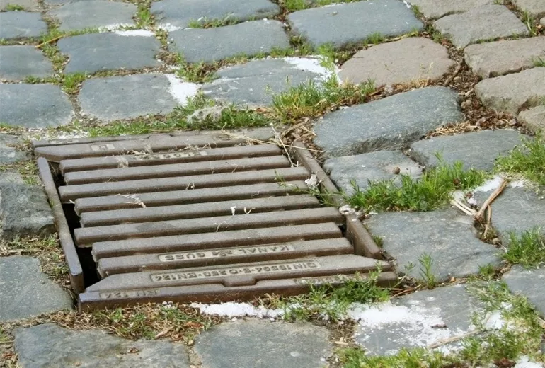 Unkraut zwischen Pflastersteinen