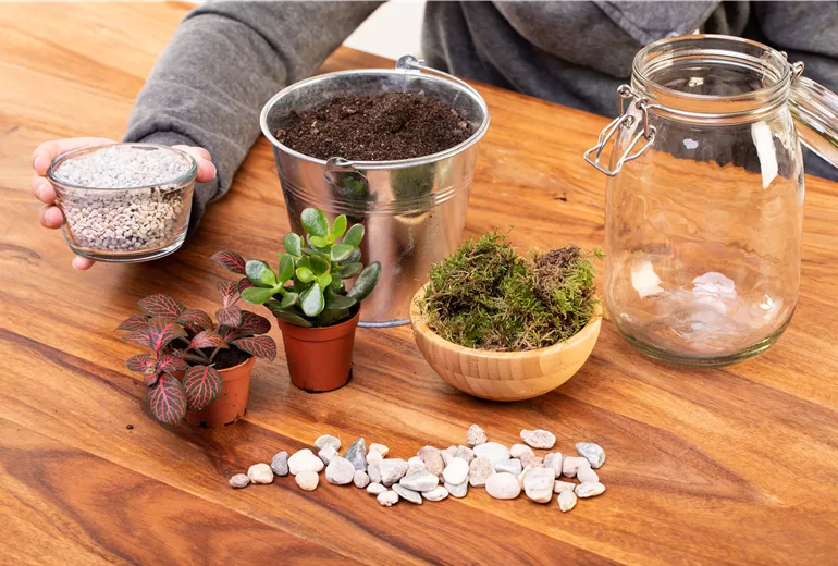 DIY: Biotop im Glas - Materialien