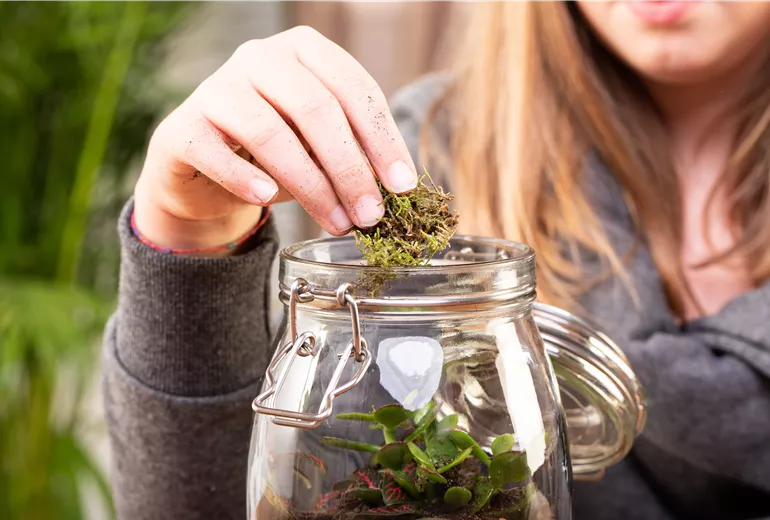 DIY: Biotop im Glas
