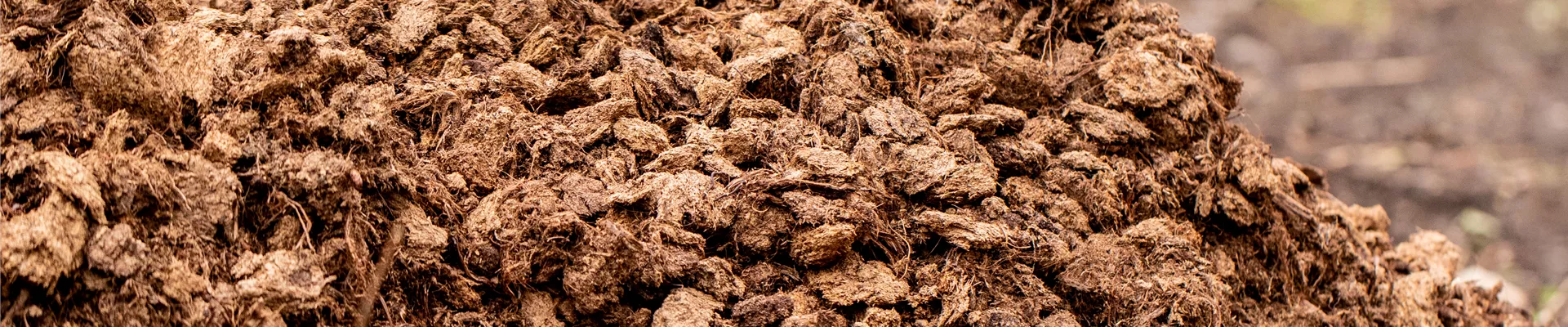Mulch-Frostschutz