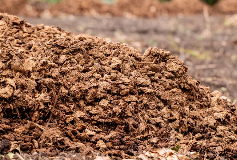 Mulch-Frostschutz