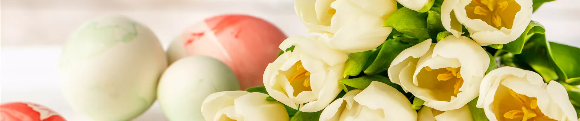 Ostern - Tulpen