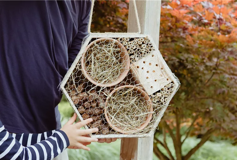 Insektenhotel DIY