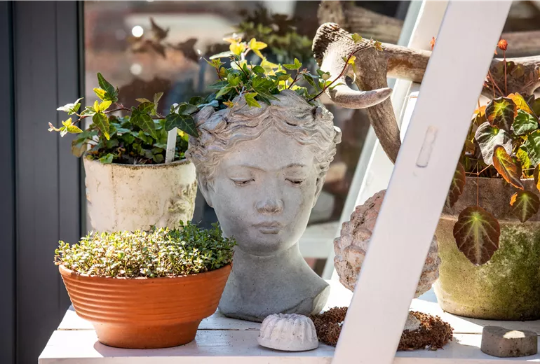 Topfbepflanzungen im Sommergarten