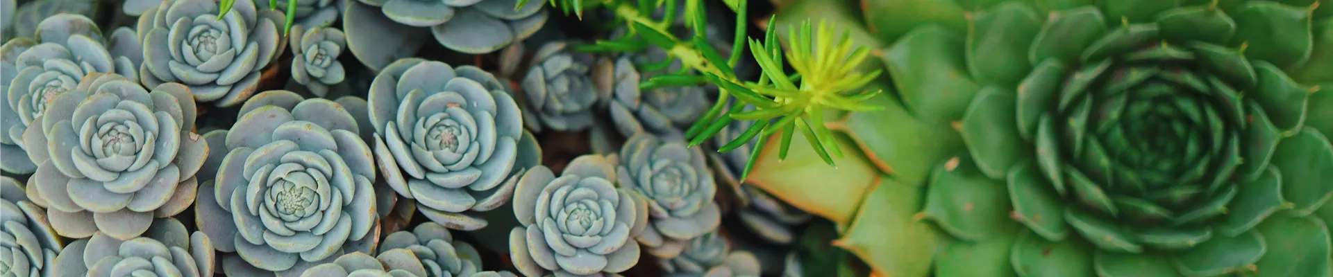 1CCB47C5-2029-4741-829A-855079E0B31C