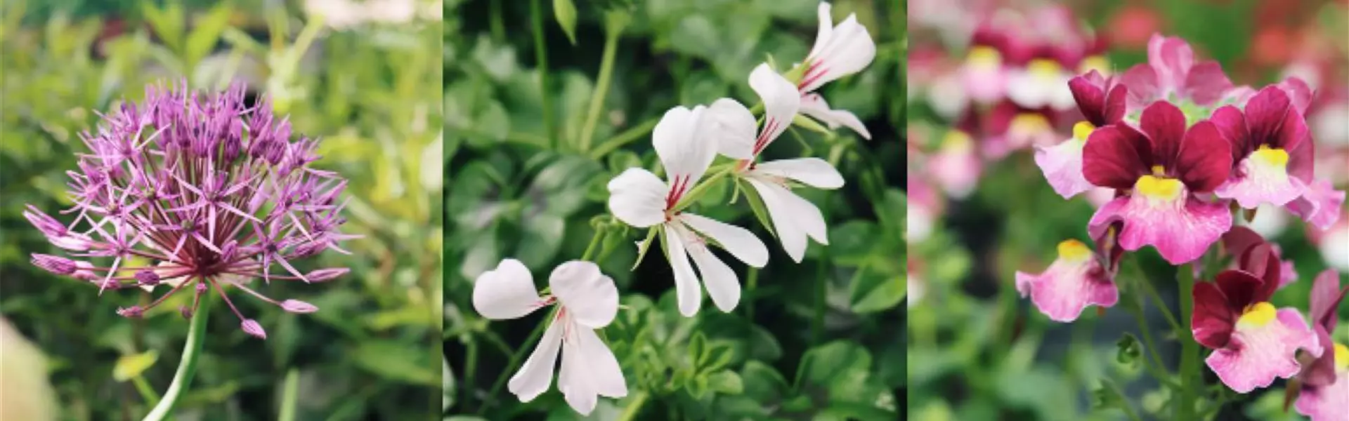 layout_960_610px-www2-0-0-3750-1354